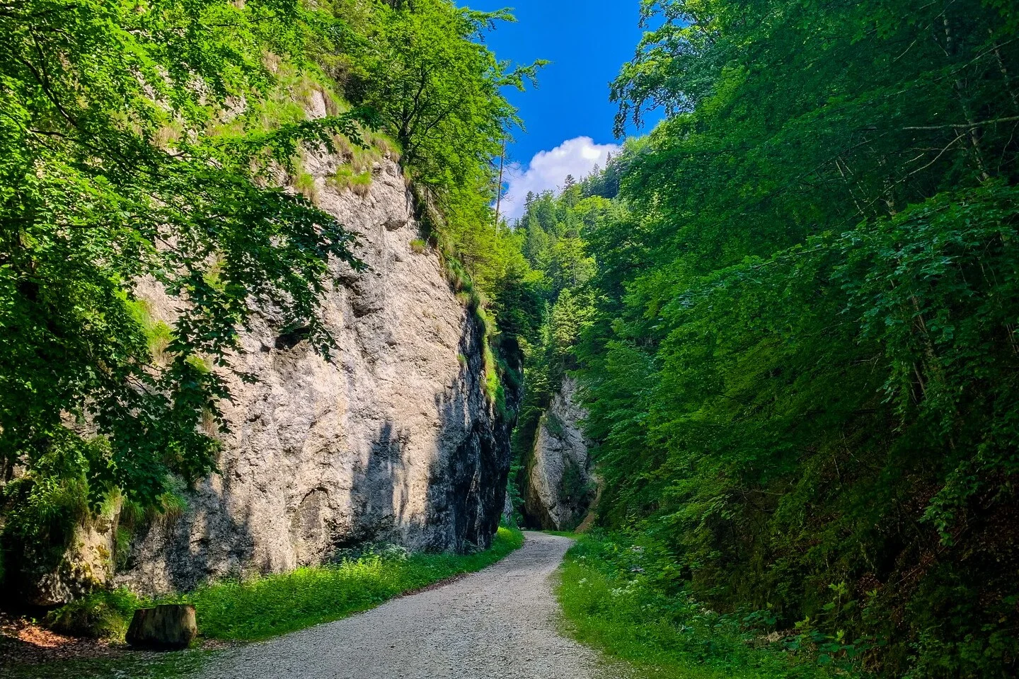 cazare transilvania